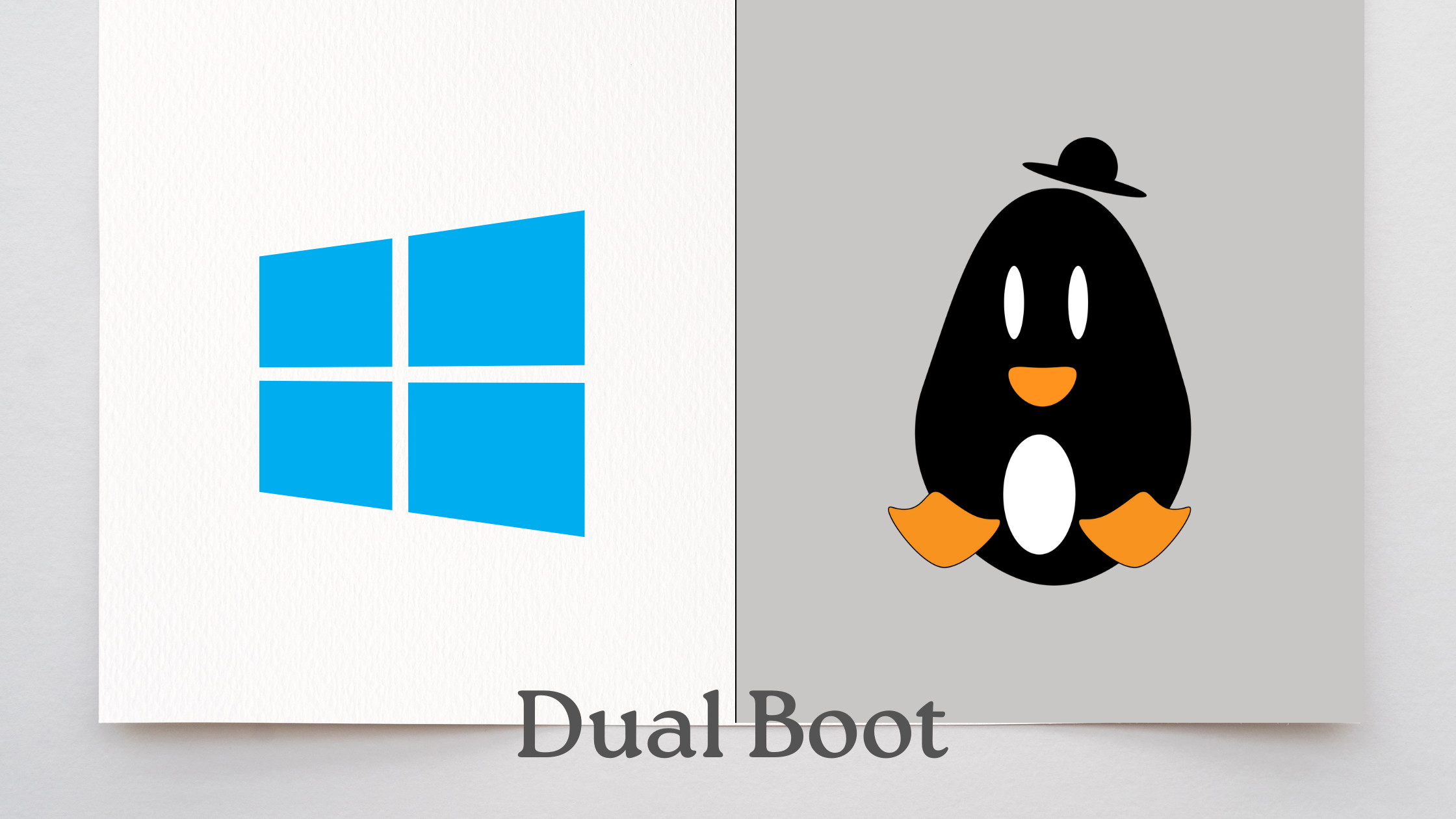 dual boot Windows 11 and Linux